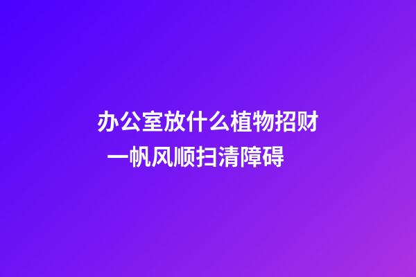 办公室放什么植物招财  一帆风顺扫清障碍